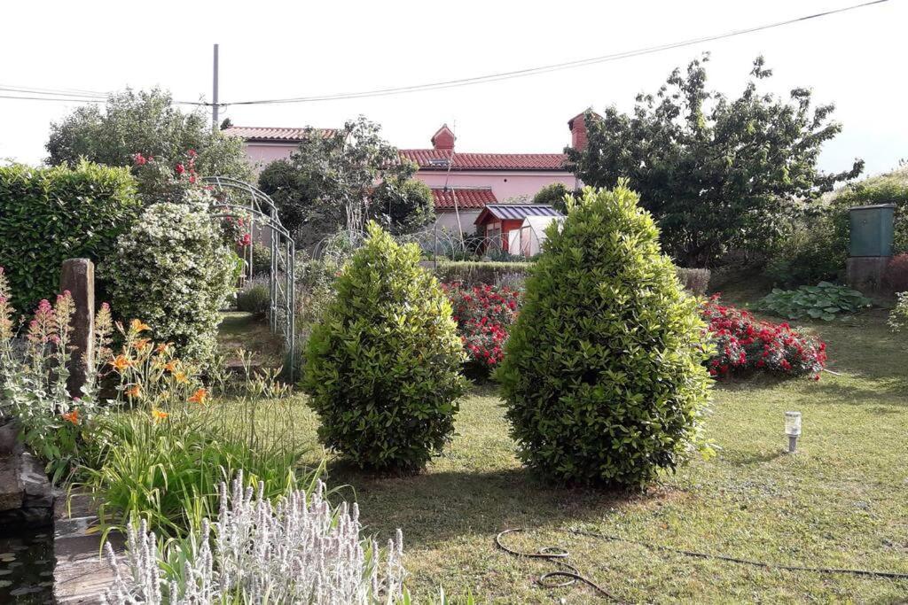 Apartma Oljka Pomjan Šmarje Zewnętrze zdjęcie
